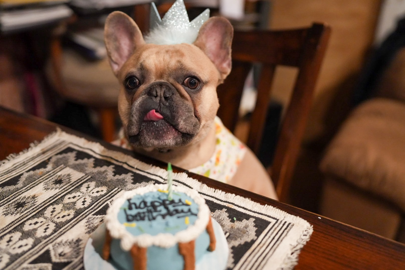 Goku in a party crown with his birthday cake